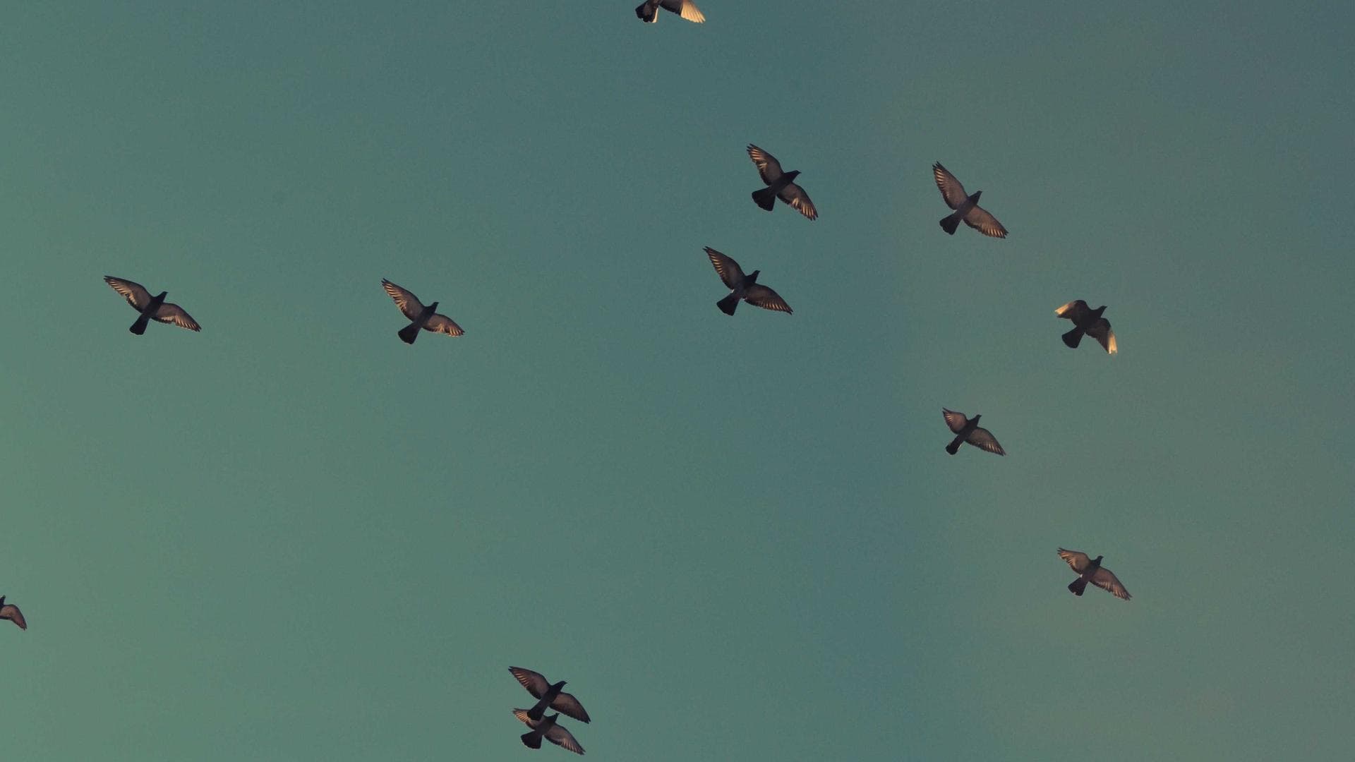 Atlhletin auf einem Berggipfel bei Sonnenaufgang