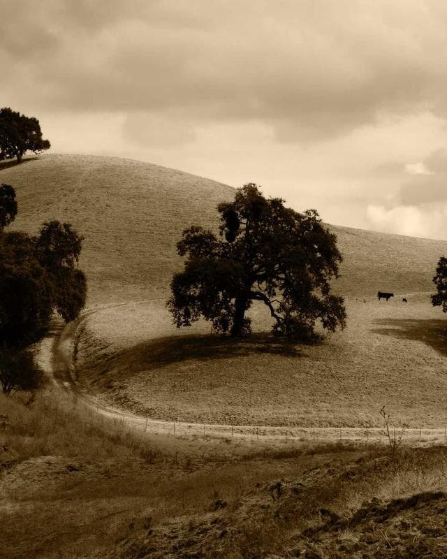 Gründerin von gflowig