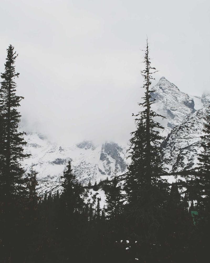 Zen Yoga Band – Nature Lifestyle